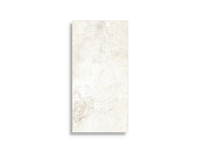 vloertegel Wit 30 x 60 | 176-876 | Jan Groen Tegels