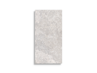 vloertegel Grijs 30 x 60 | 838-294 | Jan Groen Tegels