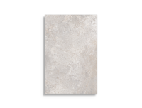 vloertegel Grijs 60 x 90 | 885-341 | Jan Groen Tegels