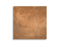 vloertegel Oranje 40 x 40 | 659-813 | Jan Groen Tegels