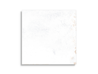 vloertegel Wit 40 x 40 | 695-317 | Jan Groen Tegels