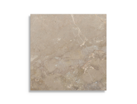 vloertegel Beige 60 x 60 | 362-714 | Jan Groen Tegels