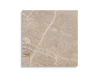 vloertegel Beige 60 x 60 | 362-714 | Jan Groen Tegels