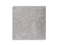 vloertegel Grijs 60 x 60 | 245-793 | Jan Groen Tegels