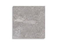 vloertegel Grijs 80 x 80 | 874-998 | Jan Groen Tegels