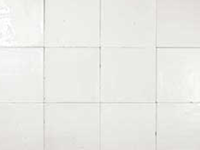 wandtegel Wit 12.5 x 12.5 | 937-746 | Jan Groen Tegels