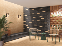 wandtegel Zwart 6 x 24.6 | 186-819 | Jan Groen Tegels