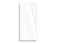 xxl tegel Wit 120 x 260 | 309-484 | Jan Groen Tegels