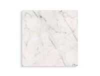 xxl tegel Wit 120 x 120 | 538-360 | Jan Groen Tegels