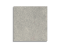 vloertegel Grijs 60 x 60 | 864-899 | Jan Groen Tegels