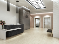 wandtegel Zilver 31.5 x 100 | 278-538 | Jan Groen Tegels