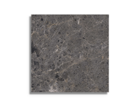 vloertegel Antraciet 60 x 60 | 230-894 | Jan Groen Tegels