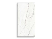 vloertegel Wit 60 x 120 | 361-760 | Jan Groen Tegels