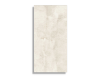 xxl tegel Zilver 60 x 120 | 101-411 | Jan Groen Tegels