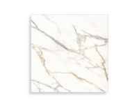 vloertegel Wit 119 x 119 | 565-588 | Jan Groen Tegels