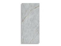 xxl tegel Grijs 60 x 120 | 206-479 | Jan Groen Tegels