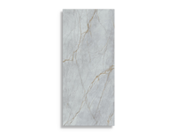 xxl tegel Grijs 60 x 120 | 206-479 | Jan Groen Tegels