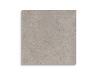 vloertegel Grijs 60 x 60 | 747-911 | Jan Groen Tegels