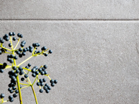 Wandtegel Marazzi Appeal Antracite 20 x 50 | 143-559 | Jan Groen Tegels