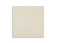 vloertegel Wit 20 x 20 | 622-896 | Jan Groen Tegels