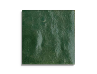 wandtegel Groen 10 x 10 | 365-496 | Jan Groen Tegels