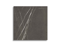 vloertegel Grijs 60 x 60 | 553-528 | Jan Groen Tegels