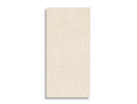 vloertegel Beige 60 x 120 | 248-127 | Jan Groen Tegels