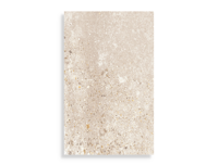 wandtegel Beige 25 x 40 | 384-200 | Jan Groen Tegels