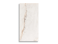 Vloertegel Pamesa Cr Pisa Gold Pulido 30 x 60 | 943-500 | Jan Groen Tegels