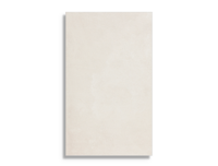 Wandtegel Pamesa Dain Arene 33,3 x 55 | 308-356 | Jan Groen Tegels