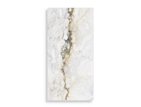 Vloertegel Pamesa Pisa Gold Mat 30 x 60 | 960-723 | Jan Groen Tegels