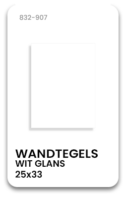 832-907 - WEB en Leaflet.jpg