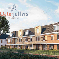 Waterjuffers Sfeer afbeeldingen_250 x 250.jpg